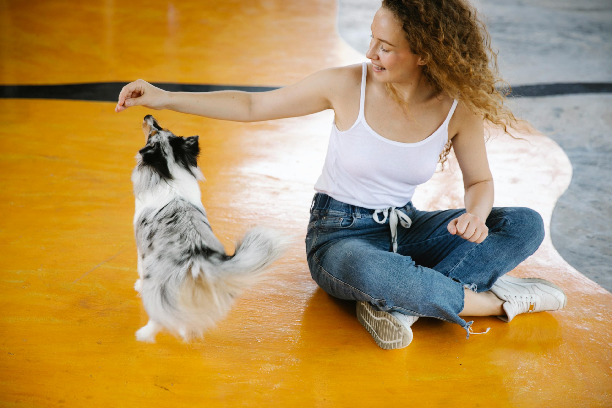 Owner playing with dog